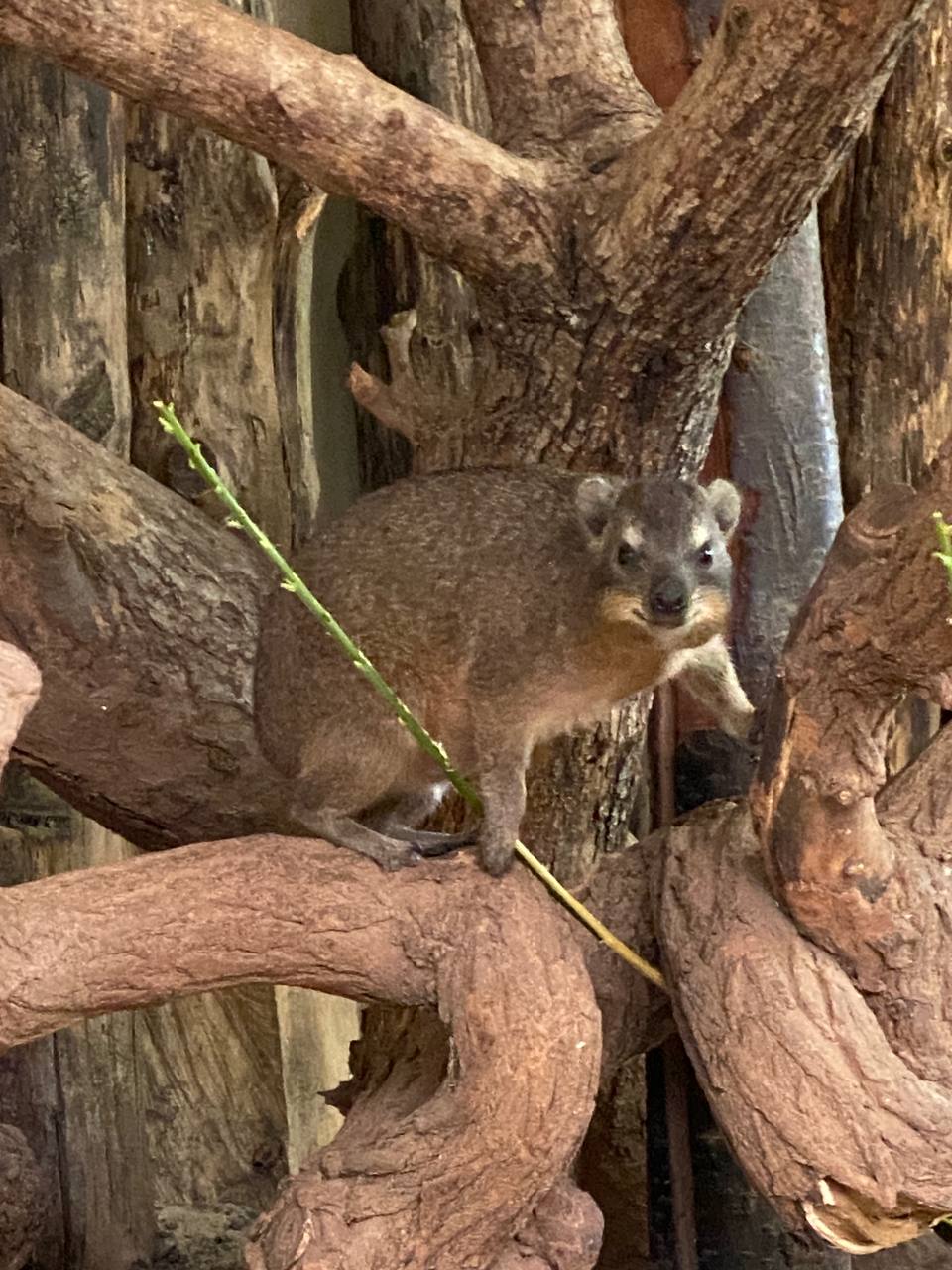 Warsaw Zoo